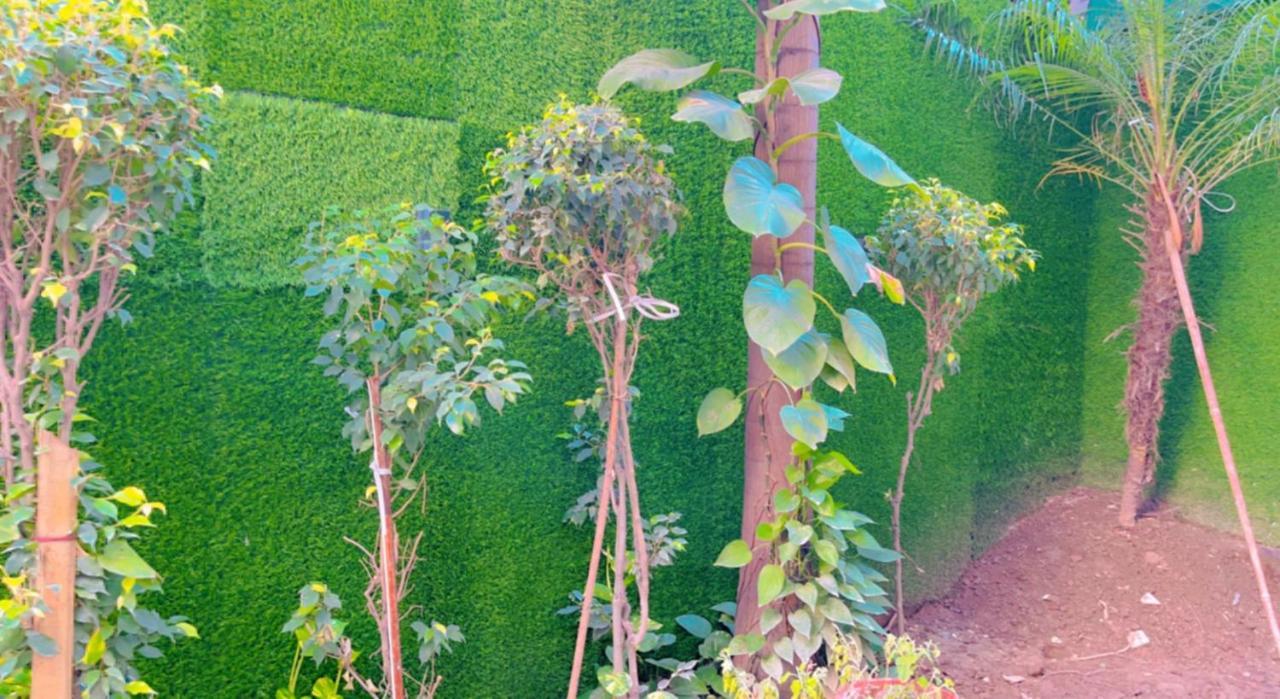 City View With Garden -5 Mins Walk From Golden Temple Amritsar Esterno foto
